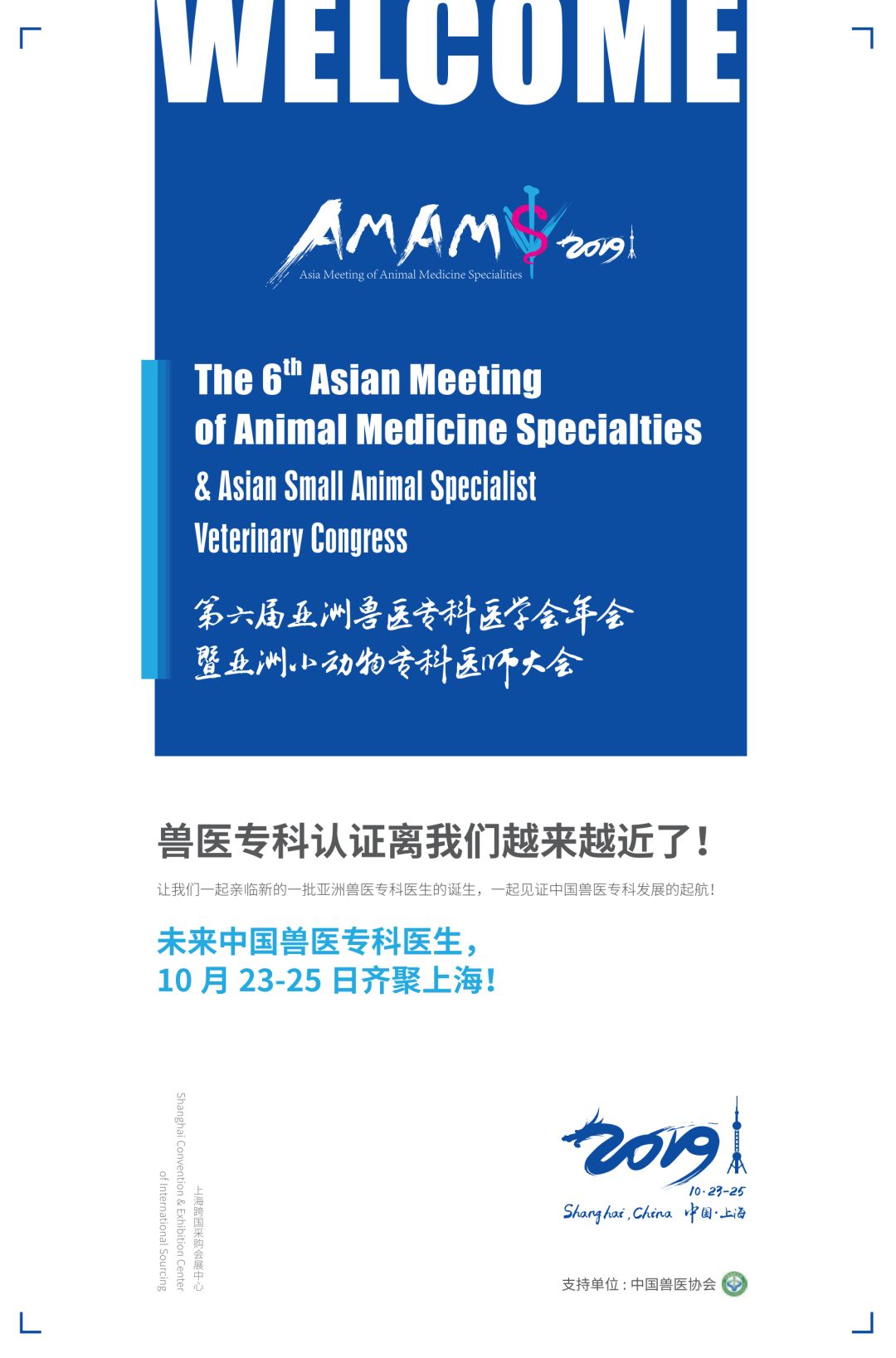 克莱拉与熊的秘密