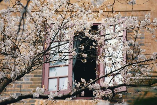 在前进的道路上