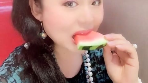 光荣之路上的狗