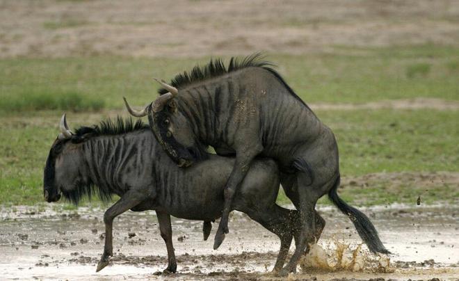 哭泣女人的诅咒