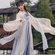 光荣之路上的狗