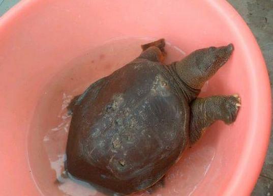 坐怀不乱柳下惠