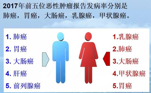 公主与青蛙（粤语版）