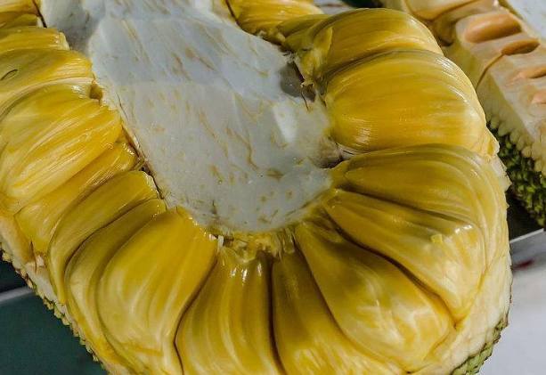 关于约会的一切