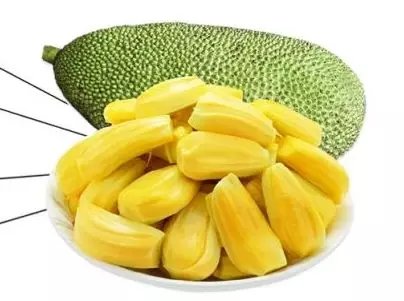 再见东京（国语版）