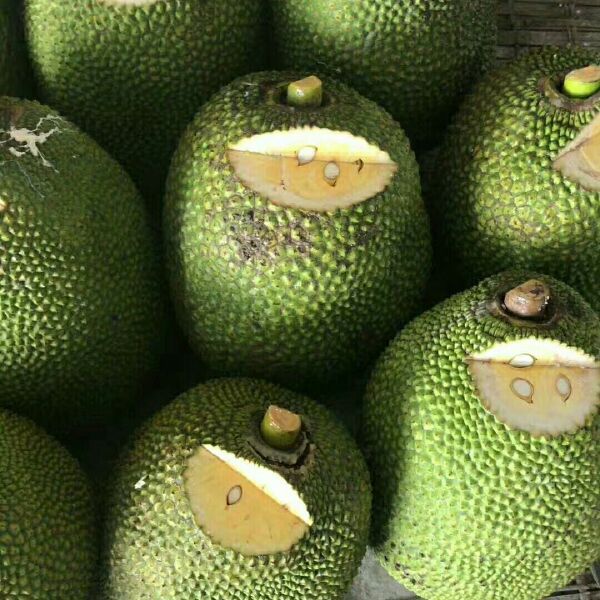 八卦风云之河图