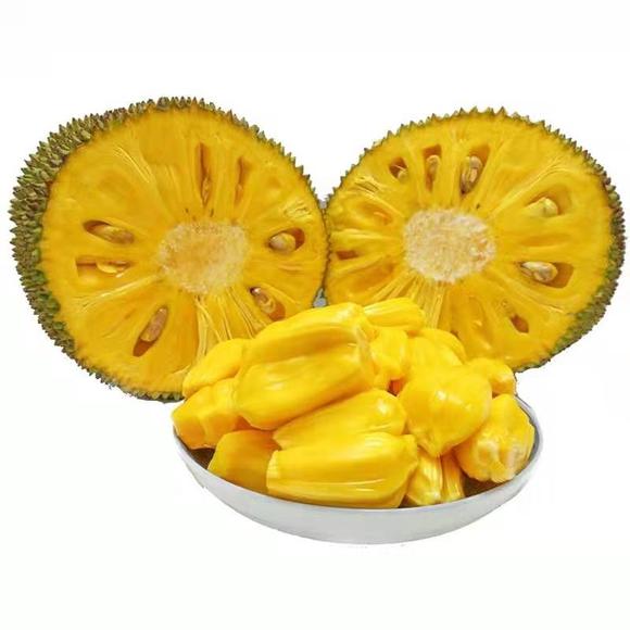 再见东京(国语版)